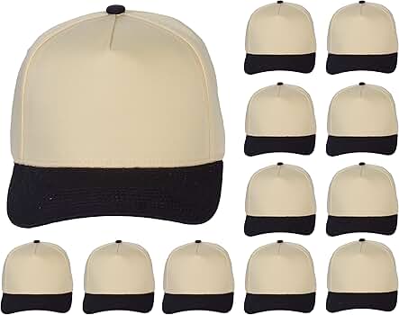 TOP HEADWEAR Throwback Heritage Snapback Hat - Two Tone Legacy